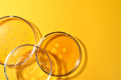 Photo of Petri dishes with liquids on orange background, flat lay. Space for text