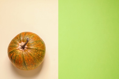 Photo of Pumpkin and space for text on color background, top view. Autumn holidays