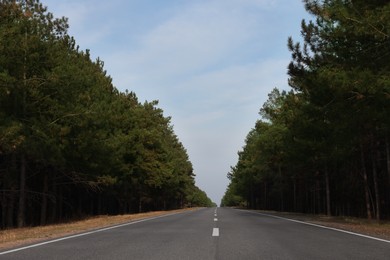 Photo of View of asphalt road without transport in forest