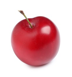 Delicious ripe cherry plum isolated on white