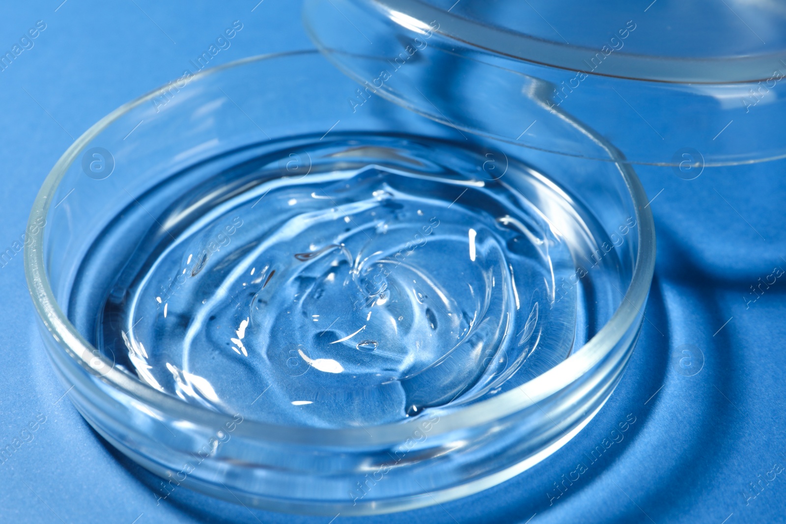 Photo of Petri dish with liquid and lid on blue background, closeup