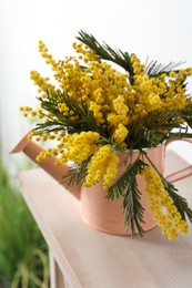 Beautiful mimosa flowers in watering can on wooden table