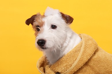 Photo of Portrait of cute dog in towel with shampoo foam on head against yellow background