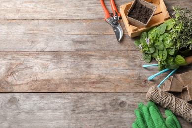 Photo of Flat lay composition with gardening tools and plant on wooden background