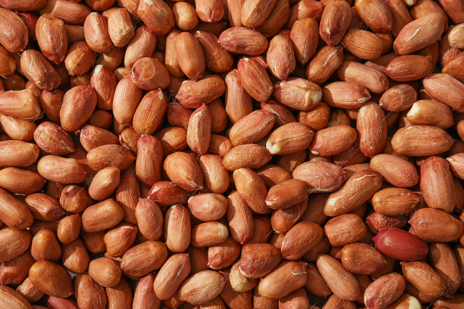 Photo of Many fresh unpeeled peanuts as background, top view