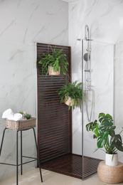 Bathroom interior with shower stall and houseplants. Idea for design