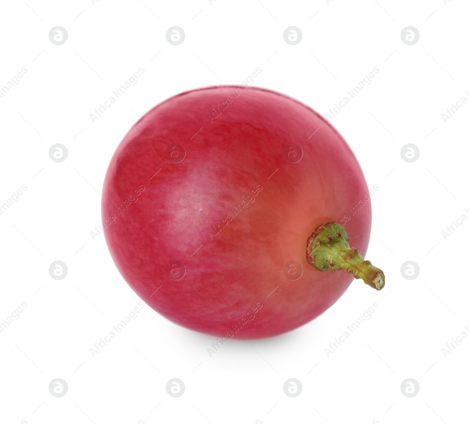 Photo of One ripe red grape isolated on white