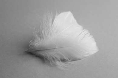 Photo of Fluffy white feather on light grey background, closeup