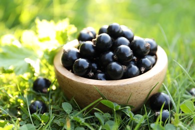 Photo of Ripe blackcurrants in bowl on green grass, closeup