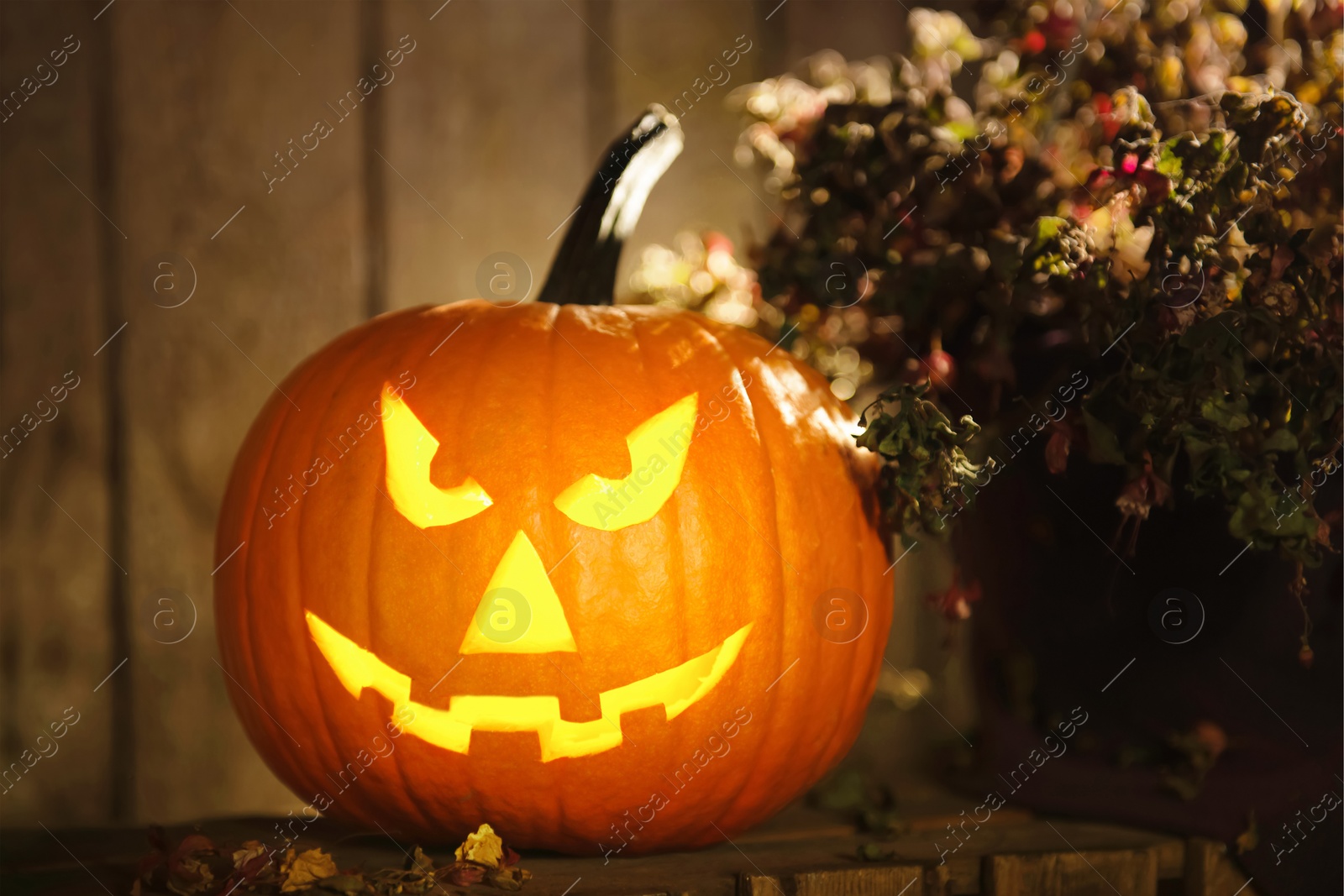 Photo of Scary jack o'lantern pumpkin on wooden bench in darkness. Halloween decor