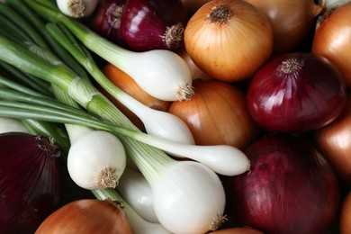 Photo of Different kinds of onions as background, top view