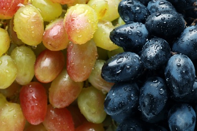 Photo of Fresh ripe juicy grapes with water drops as background, closeup