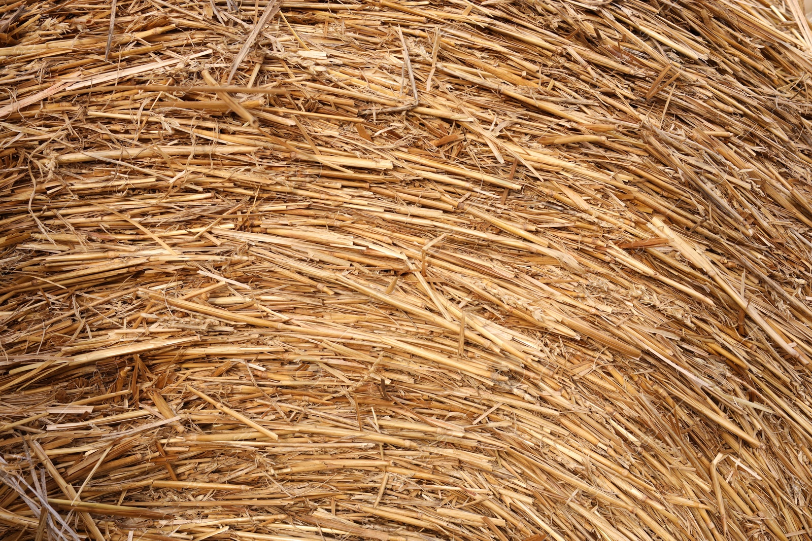 Photo of Hay bale roll as background, closeup view