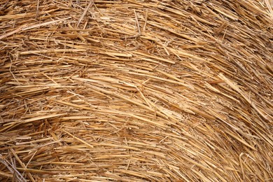 Hay bale roll as background, closeup view