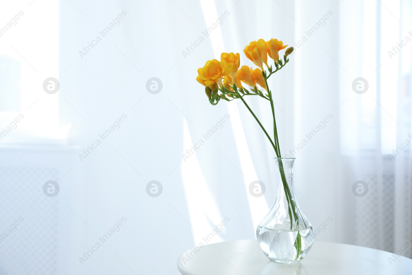 Photo of Beautiful yellow freesia flowers on table indoors. Space for text