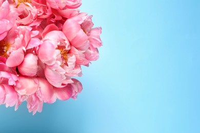 Photo of Bunch of beautiful peonies on turquoise background, top view. Space for text