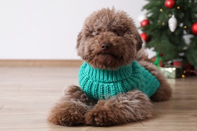 Photo of Cute Toy Poodle dog in knitted sweater and Christmas tree indoors, space for text