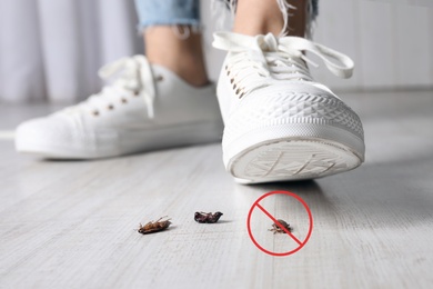 Image of Woman crushing cockroaches with feet, closeup. Pest control