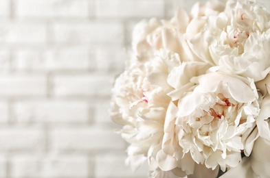 Beautiful blooming peony flowers on light background