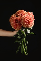 Photo of Woman holding beautiful coral dahlia flowers on black background, closeup