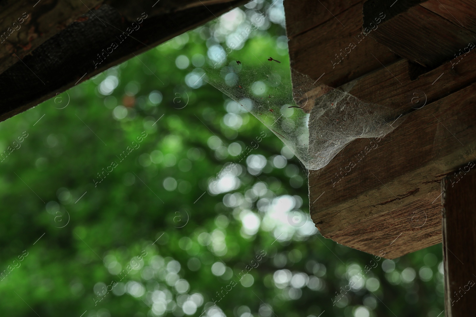 Photo of Cobweb on wooden building outdoors, closeup. Space for text