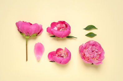 Beautiful pink peonies on beige background, flat lay