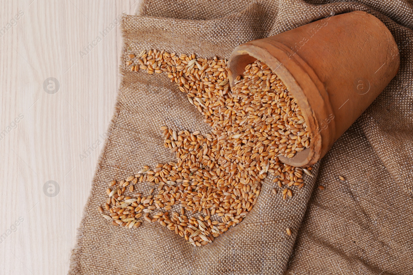 Photo of Overturned pot with scattered wheat grains on white wooden table, above view