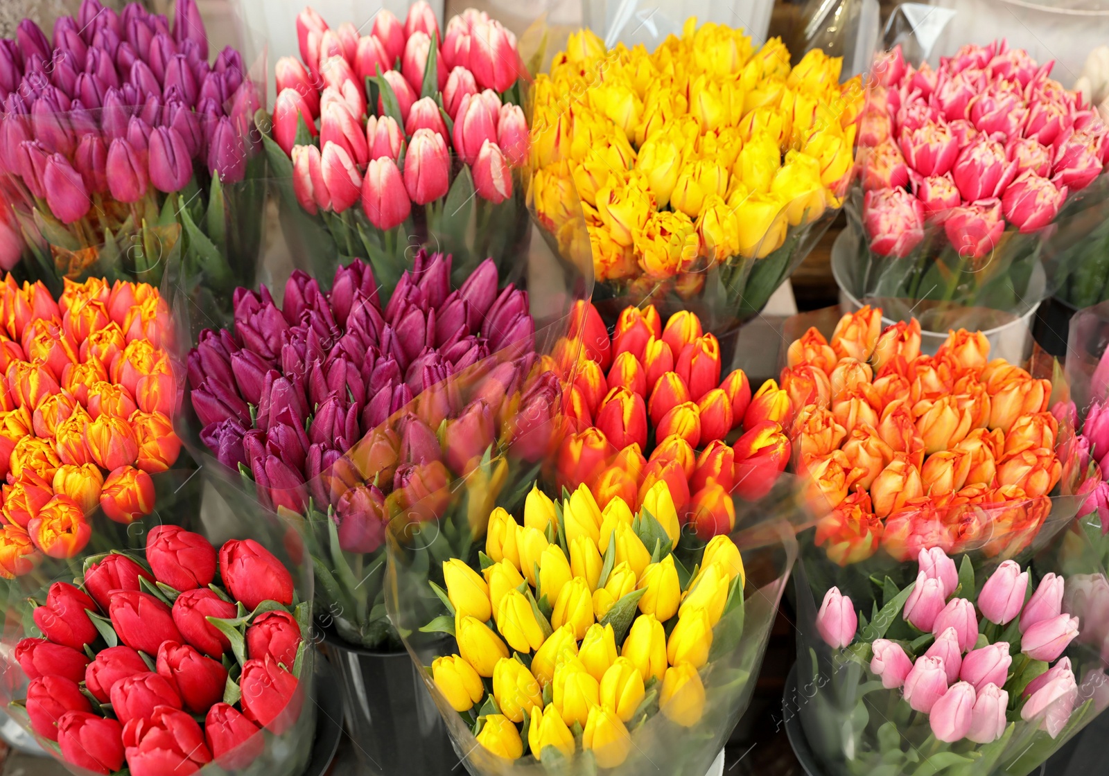 Photo of Assortment of bright flowers in shop. Floral decor