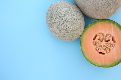 Whole and cut fresh ripe cantaloupe melons on light blue background, flat lay. Space for text
