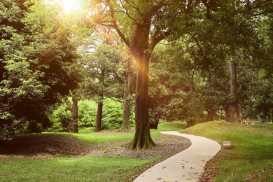 Picturesque view of tranquil park with paved pathway