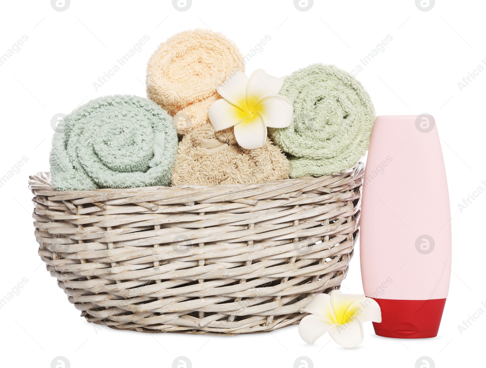 Photo of Soft towels in wicker basket, bottle of cosmetic product and plumeria flowers on white background