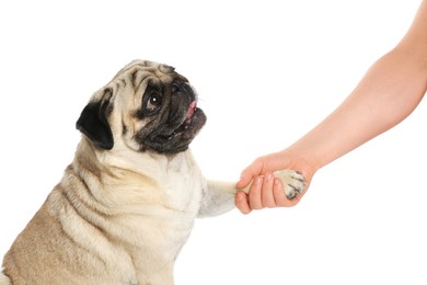 Photo of Woman holding dog's paw on white background, closeup