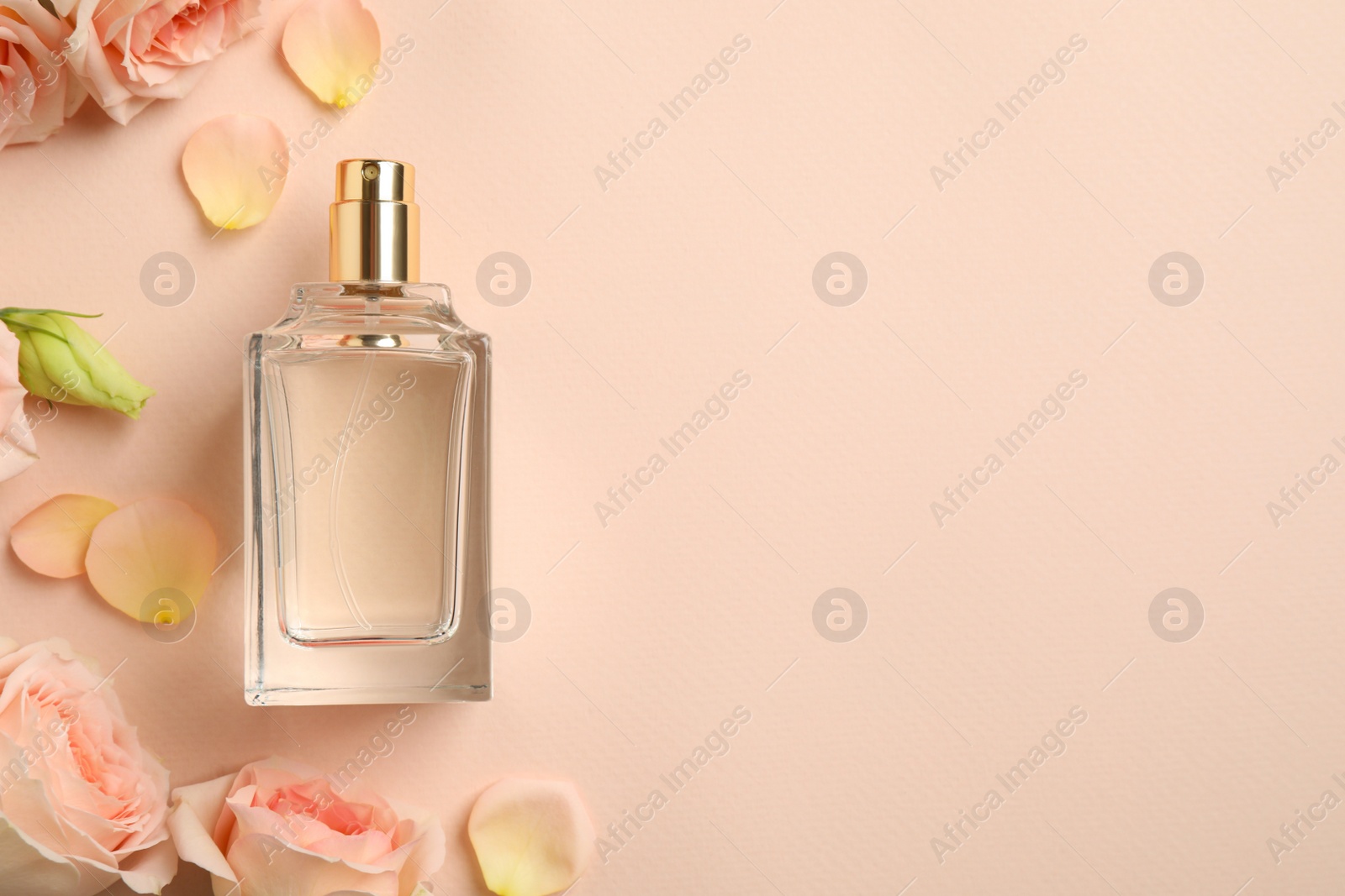 Photo of Bottle of perfume, beautiful flowers and petals on beige background, flat lay. Space for text