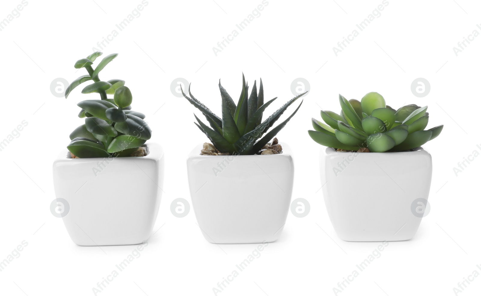 Photo of Beautiful artificial plants in flower pots isolated on white