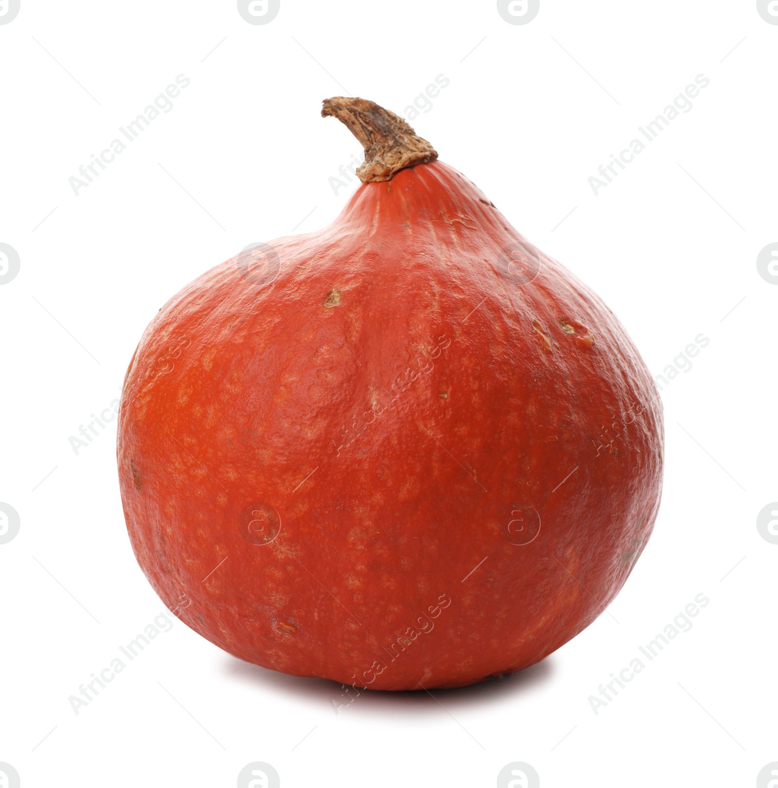 Photo of Fresh raw pumpkin isolated on white. Organic plant