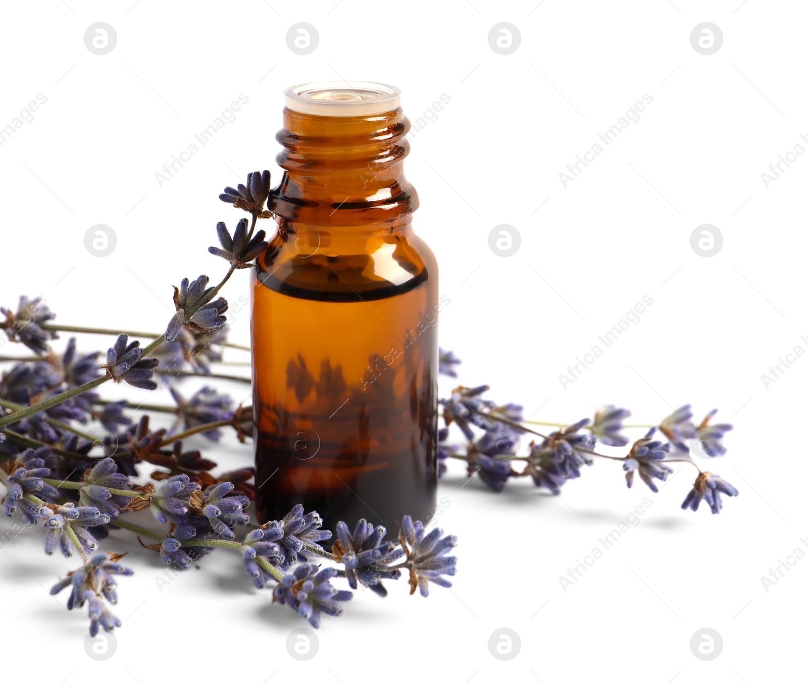 Photo of Bottle of essential oil and lavender flowers on white background