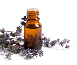 Bottle of essential oil and lavender flowers on white background