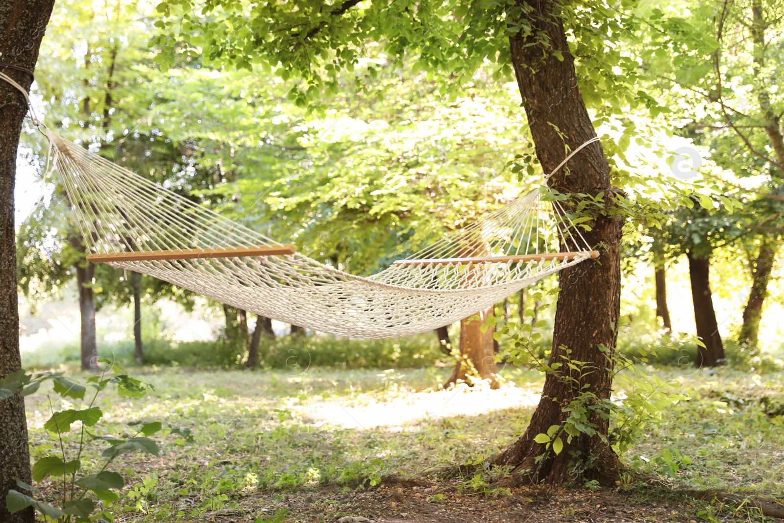 Photo of Empty hammock outdoors on sunny day. Summer camp