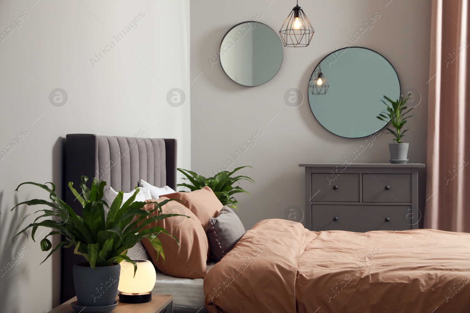 Photo of Stylish bedroom interior with comfortable bed and green houseplants