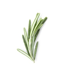 Photo of Fresh green rosemary twig on white background, top view