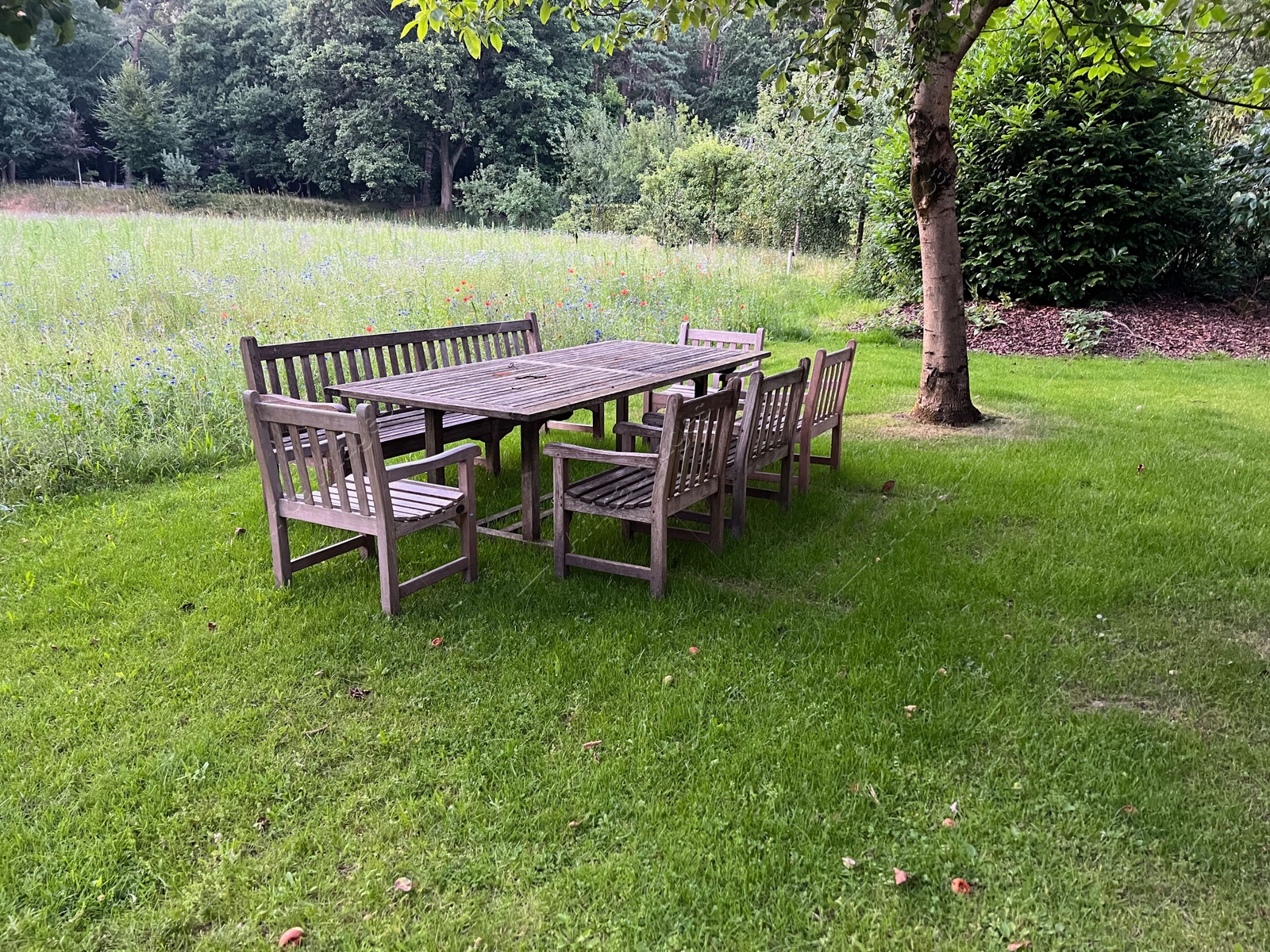 Photo of Wooden table with bench and chairs in garden. Landscape design