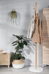 Stylish hallway room interior with wooden commode and coat rack