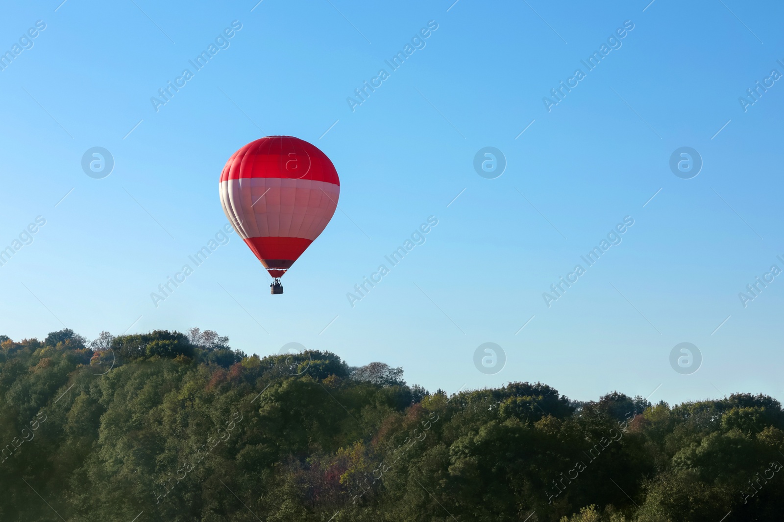 Photo of Beautiful view of hot air balloon flying over autumn forest. Space for text