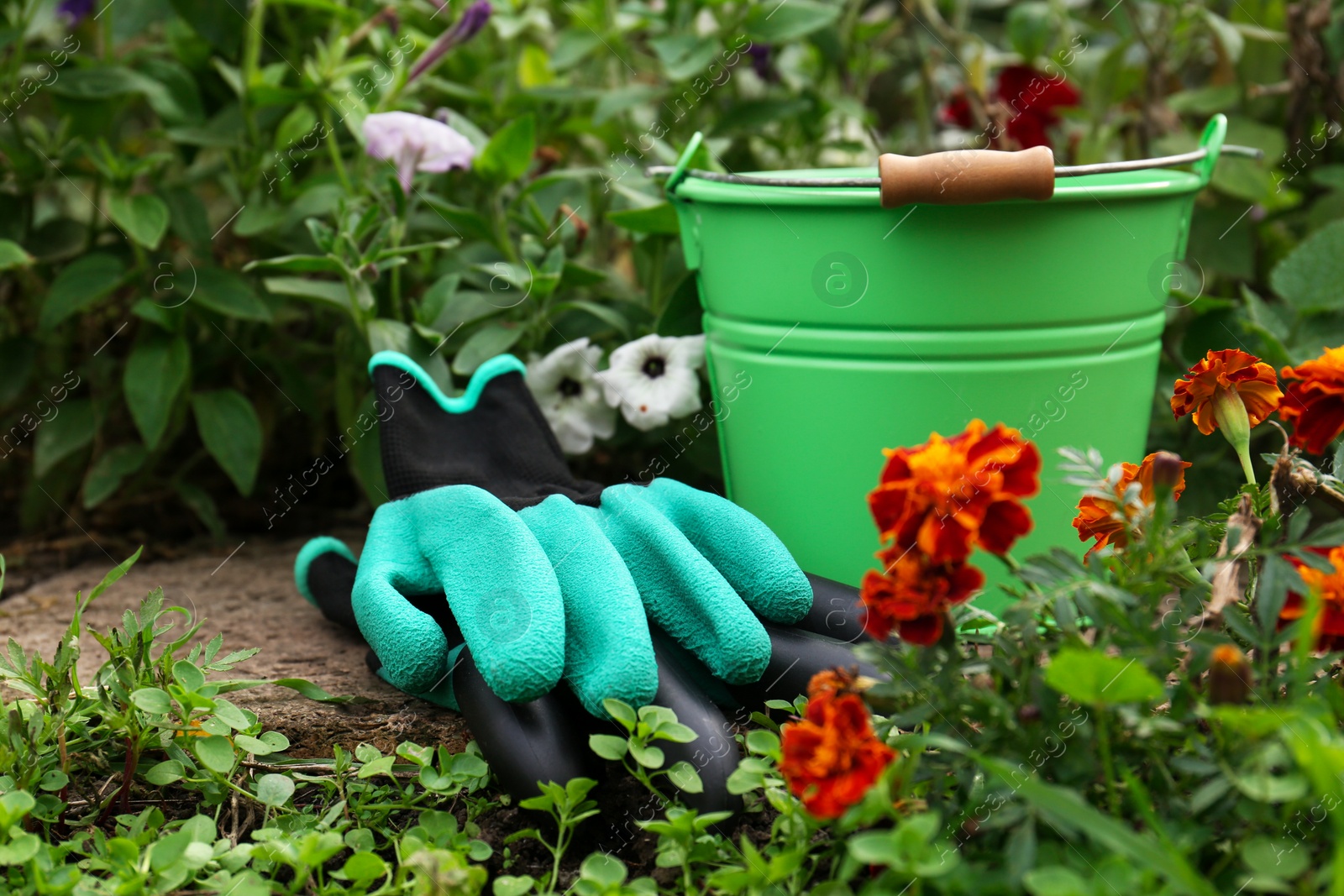 Photo of Gardening gloves and green bucket near flowers outdoors