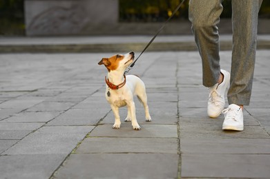 Photo of Man with adorable Jack Russell Terrier on city street, closeup. Dog walking