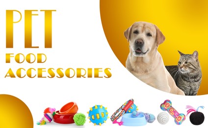 Image of Advertising poster design for pet shop. Cute dog with cat and different accessories on color background