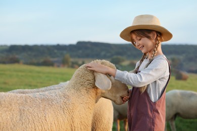 Girl feeding sheep on pasture. Farm animals