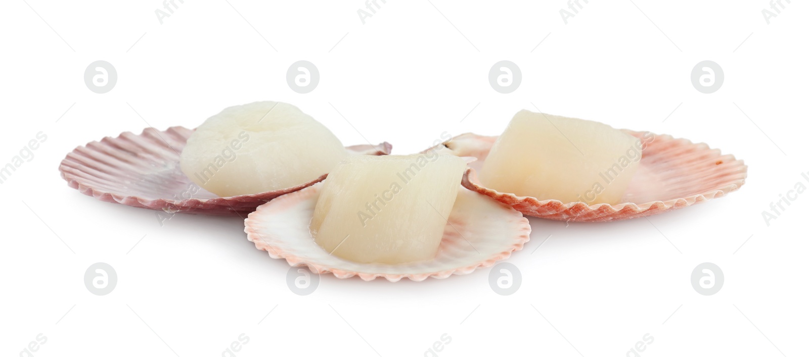 Photo of Fresh raw scallops in shells isolated on white