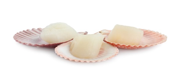 Fresh raw scallops in shells isolated on white