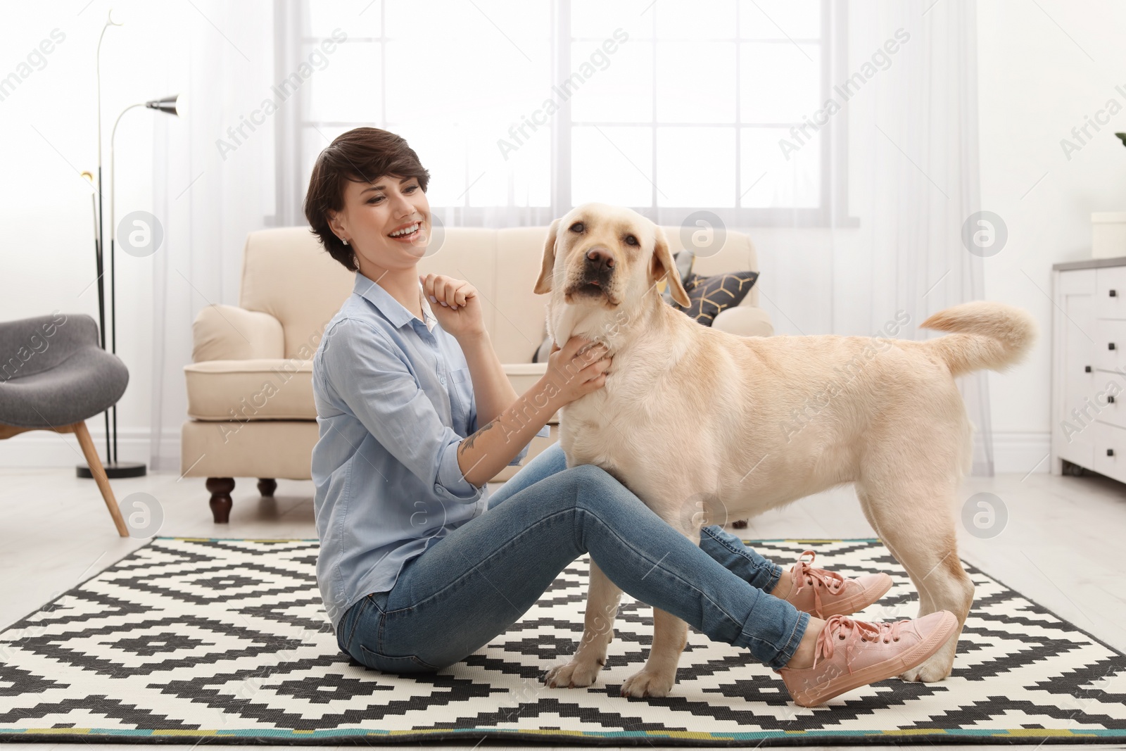 Photo of Adorable yellow labrador retriever with owner at home